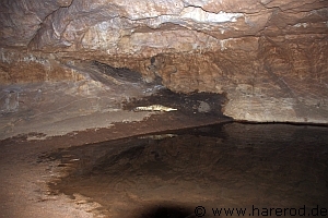 PB_Australien2012/TunnelCreek_CrocodylusJohnsoni_IMG_1506_300.jpg